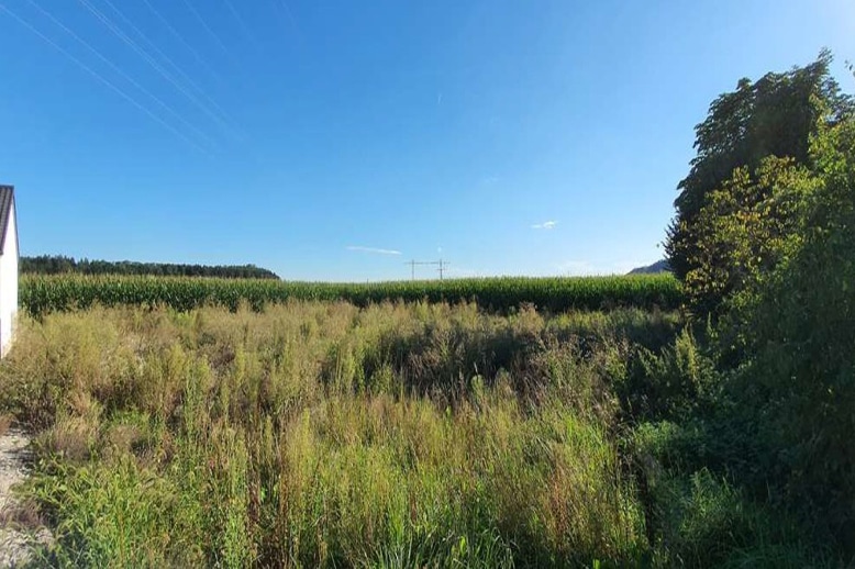 NEUBAU Jettenbach - planen Sie jetzt Ihr neues Zuhause in Massivbauweise in ruhiger und grüner Lage - Baugrundstück Jettenbach