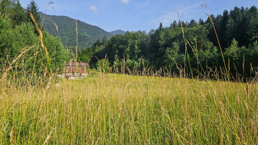 Unverbaubare Weitsicht mit Bergblick! Großes Baugrundstück in absolut ruhiger und idyllischer Lage - Unverbaubare einzigartige Lage