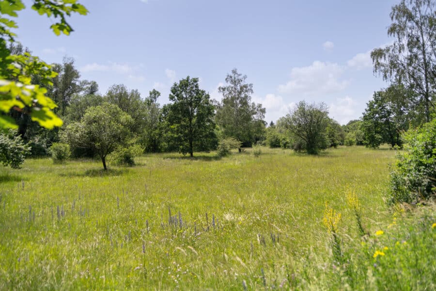 *Direkt verliebt* - Hochwertige Neubau Doppelhaushälfte im grünen Naturschutzgebiet - Direkt neben Ihrem Haus