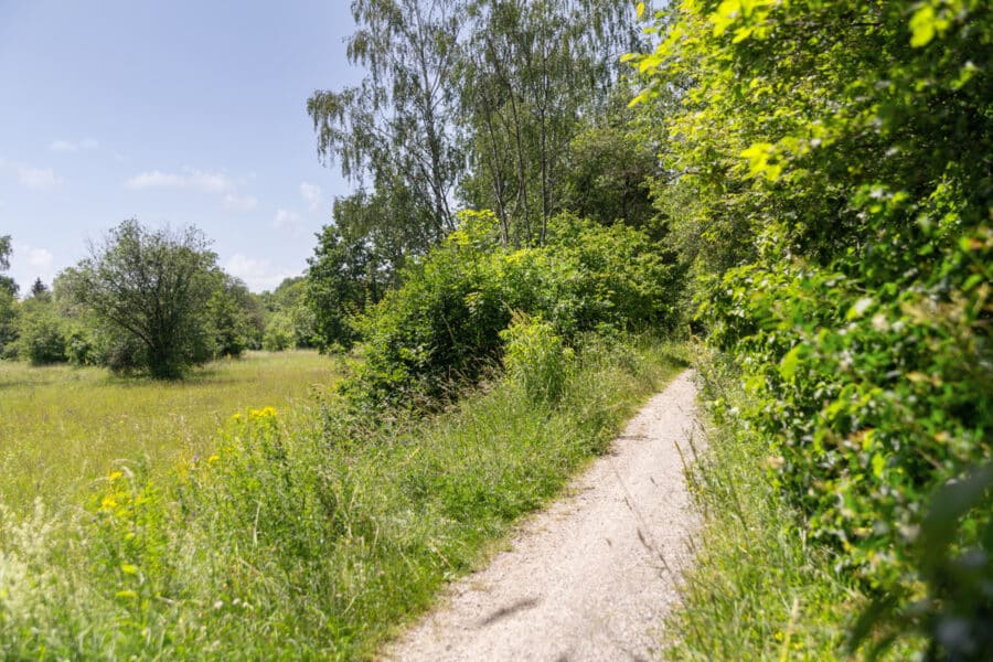 *Direkt verliebt* - Hochwertige Neubau Doppelhaushälfte im grünen Naturschutzgebiet - Naturschutzgebiet