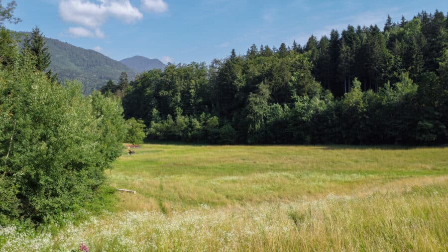 Unverbaubare Weitsicht mit Bergblick! Großes Baugrundstück in absolut ruhiger und idyllischer Lage - Bergblick, Wälder und Wiesen