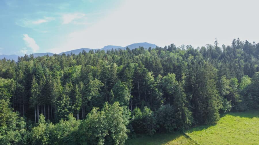 Unverbaubare Weitsicht mit Bergblick! Großes Baugrundstück in absolut ruhiger und idyllischer Lage - Natur pur